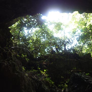 西表島 ADVENTURE PiPi（アドベンチャーピピ）に投稿された画像（2021/4/26）