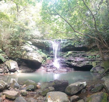 西表島 ADVENTURE PiPi（アドベンチャーピピ）に投稿された画像（2021/4/26）