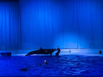 アクアワールド茨城県大洗水族館に投稿された画像（2021/4/26）