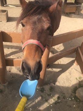 那須どうぶつ王国に投稿された画像（2021/4/27）