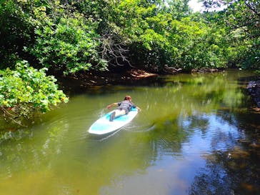 西表島 ADVENTURE PiPi（アドベンチャーピピ）に投稿された画像（2021/4/27）