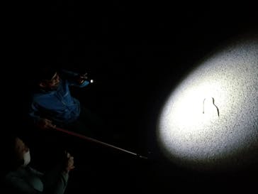 奄美ナイトガイドサービスに投稿された画像（2021/4/27）