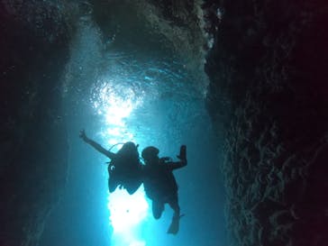 武藤潜水に投稿された画像（2021/4/28）
