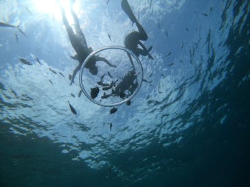 武藤潜水に投稿された画像（2021/4/28）