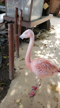 横浜・八景島シーパラダイスに投稿された画像（2021/4/28）