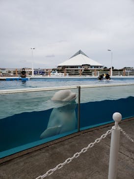 横浜・八景島シーパラダイスに投稿された画像（2021/4/28）