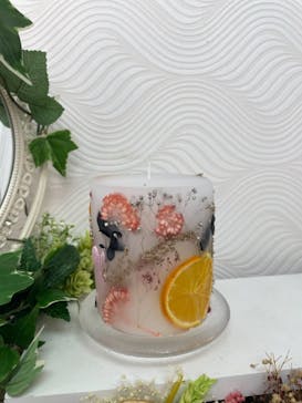 ずこうしつ〜sugamo〜に投稿された画像（2021/4/28）