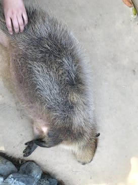 横浜・八景島シーパラダイスに投稿された画像（2021/4/28）