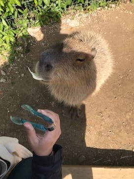 横浜・八景島シーパラダイスに投稿された画像（2021/4/28）