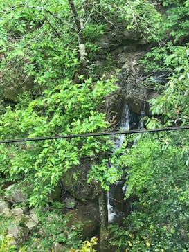 アソビュー株式会社　150881に投稿された画像（2021/4/28）