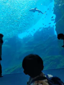仙台うみの杜水族館に投稿された画像（2021/4/29）