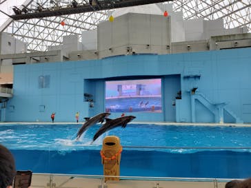 横浜・八景島シーパラダイスに投稿された画像（2021/4/29）