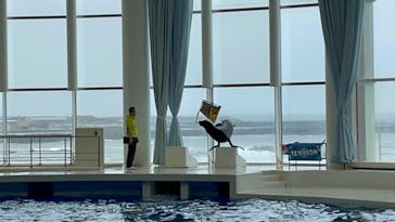 アクアワールド茨城県大洗水族館に投稿された画像（2021/4/29）