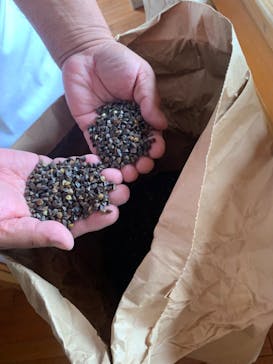 岬そば工房に投稿された画像（2021/4/29）