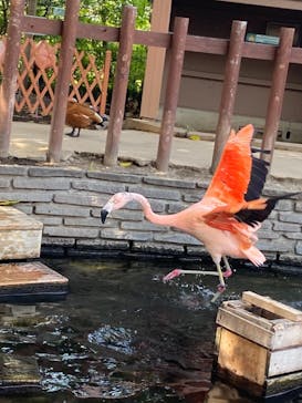 横浜・八景島シーパラダイスに投稿された画像（2021/4/29）