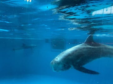 新江ノ島水族館に投稿された画像（2021/4/29）