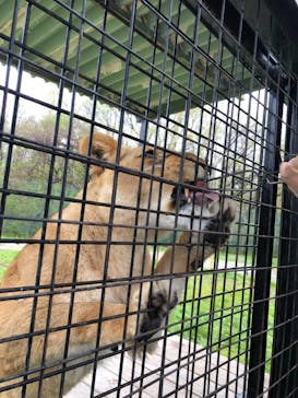 那須サファリパークに投稿された画像（2021/4/29）