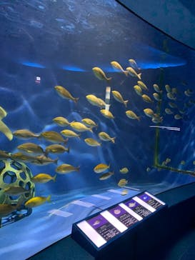 京急油壺マリンパークに投稿された画像（2021/4/29）