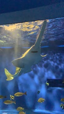 京急油壺マリンパークに投稿された画像（2021/4/29）