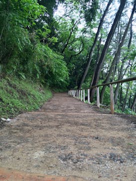 三溪園に投稿された画像（2021/4/29）