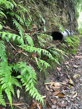 三溪園に投稿された画像（2021/4/29）