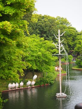 伊豆シャボテン動物公園に投稿された画像（2021/4/29）