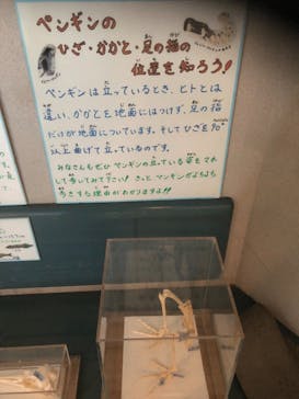 旭川市旭山動物園に投稿された画像（2021/4/30）