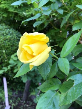 鳩山会館に投稿された画像（2021/4/30）