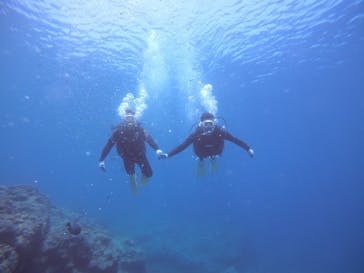 武藤潜水に投稿された画像（2021/4/30）