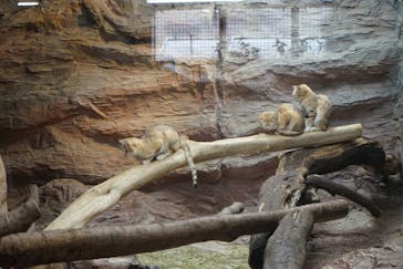 那須どうぶつ王国に投稿された画像（2021/4/30）