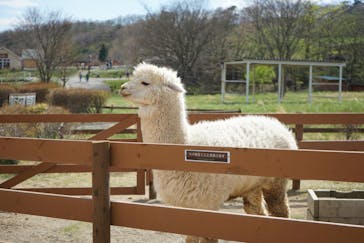 那須どうぶつ王国に投稿された画像（2021/4/30）