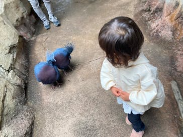 那須どうぶつ王国に投稿された画像（2021/4/30）