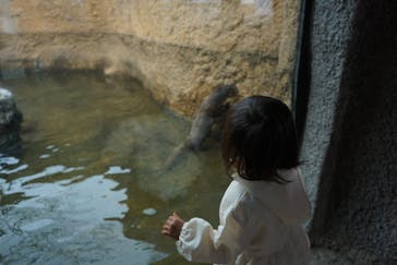 那須どうぶつ王国に投稿された画像（2021/4/30）