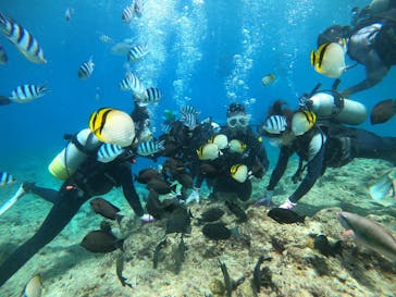 武藤潜水に投稿された画像（2021/4/30）