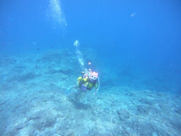 武藤潜水に投稿された画像（2021/4/30）