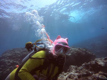 武藤潜水に投稿された画像（2021/4/30）