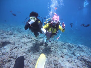 武藤潜水に投稿された画像（2021/4/30）