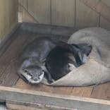 横浜・八景島シーパラダイスに投稿された画像（2021/4/30）