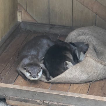 横浜・八景島シーパラダイスに投稿された画像（2021/4/30）