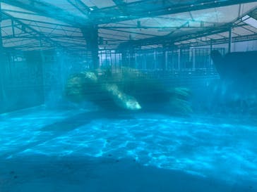 鳥羽水族館に投稿された画像（2021/4/30）