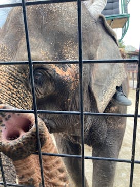 那須サファリパークに投稿された画像（2021/4/30）