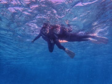 マリンヴィレッジ奄美に投稿された画像（2021/4/30）