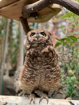 伊豆シャボテン動物公園に投稿された画像（2021/4/30）