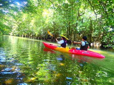西表島 ADVENTURE PiPi（アドベンチャーピピ）に投稿された画像（2021/4/30）