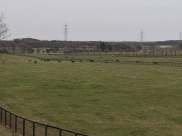 ノーザンホースパークに投稿された画像（2021/4/30）