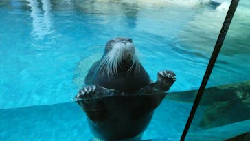 大分マリーンパレス水族館 「うみたまご」に投稿された画像（2021/4/30）