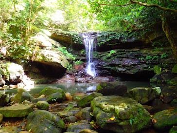 西表島 ADVENTURE PiPi（アドベンチャーピピ）に投稿された画像（2021/4/30）