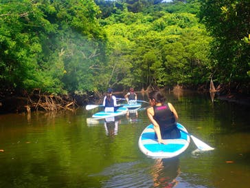 西表島 ADVENTURE PiPi（アドベンチャーピピ）に投稿された画像（2021/4/30）