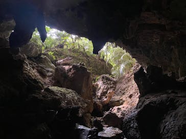 西表島 ADVENTURE PiPi（アドベンチャーピピ）に投稿された画像（2021/4/30）