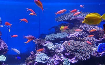 横浜・八景島シーパラダイスに投稿された画像（2021/4/30）